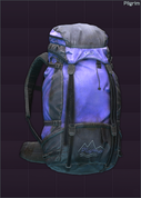 Pilgrim Backpack icon.png